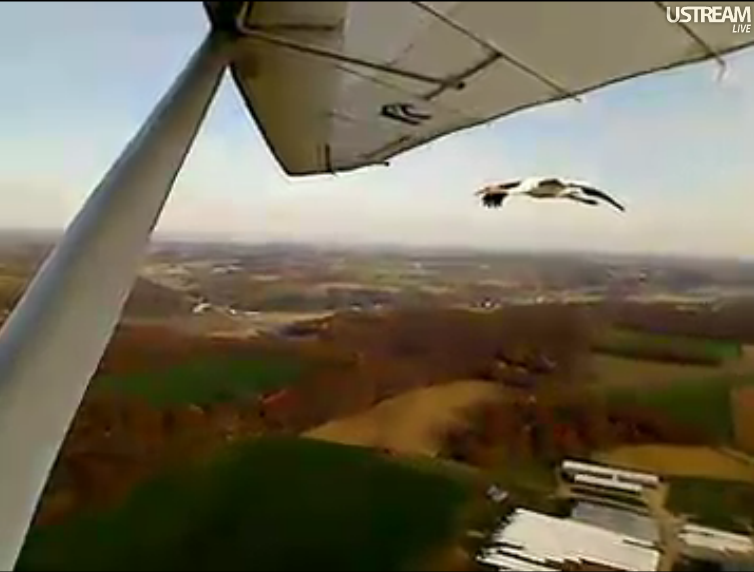 Screen Shots of today's flight 10/28/2011 Fabulosflight1028