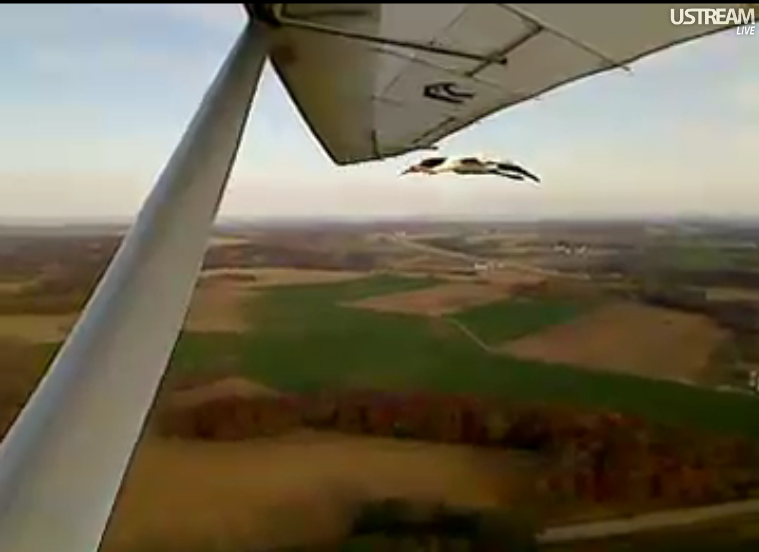 Screen Shots of today's flight 10/28/2011 Gorgeous1028