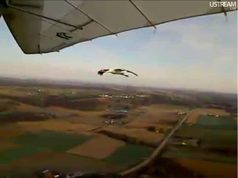 Screen Shots of today's flight 10/28/2011 Outstanding1028