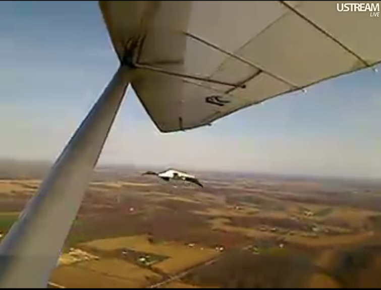 Screen Shots of today's flight 10/28/2011 Ridingthermals1028