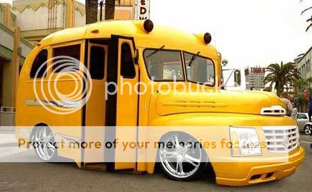 Pour Tiger Cool_bus-1