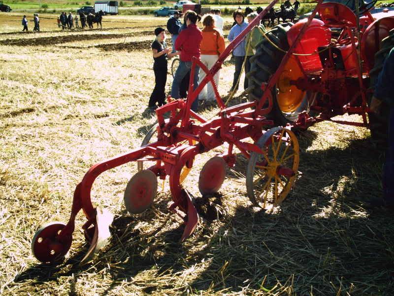 Tracteurs antiques PHTO0136