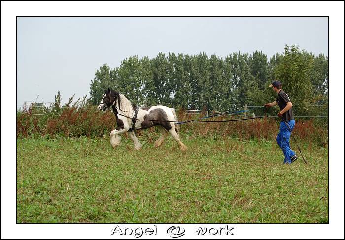 Le prédébourrage d'Angel Dsc_0032-border