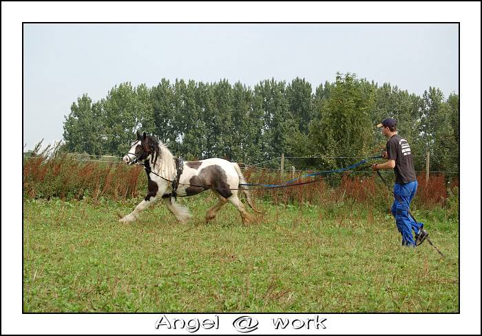 Le prédébourrage d'Angel Dsc_0038-border