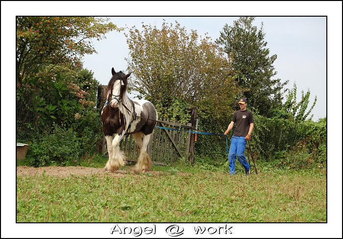 Le prédébourrage d'Angel Dsc_0123-border