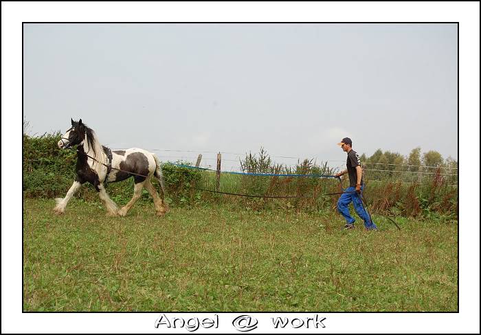 Le prédébourrage d'Angel Dsc_0217-border