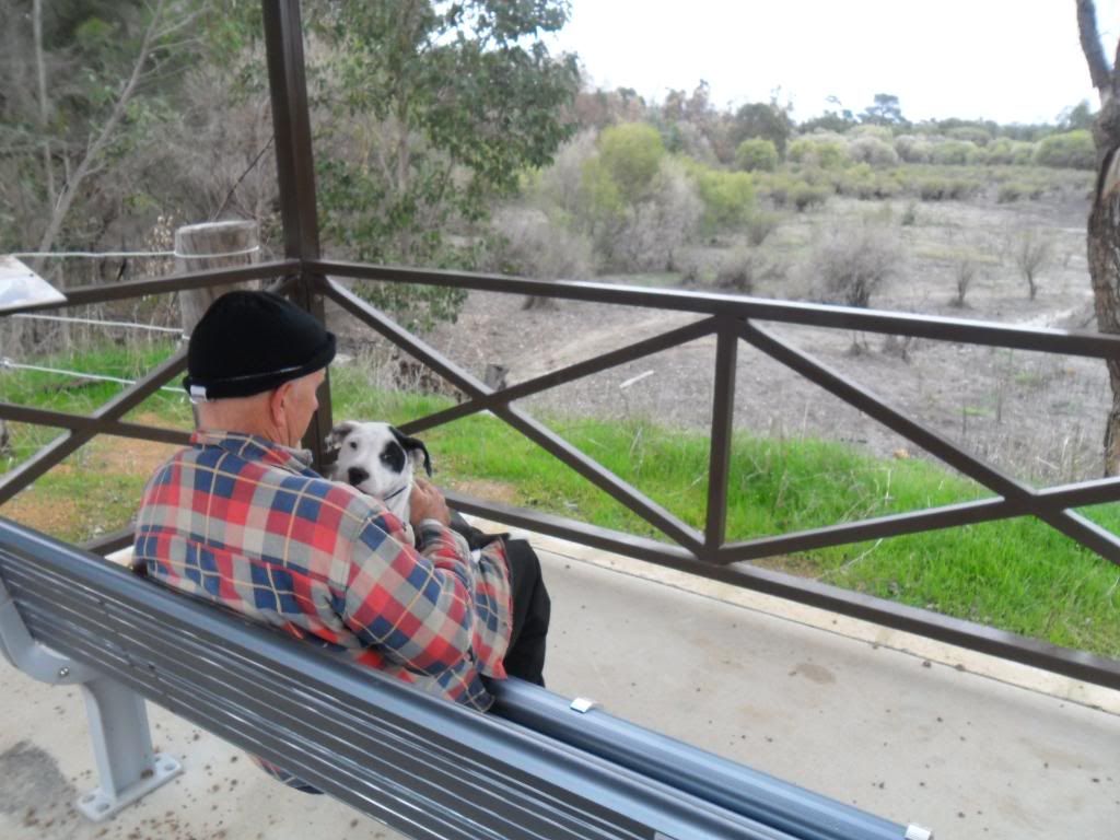 Jethro and Winston's wetlands walk ( lots of photos ... be warned ) 045-1