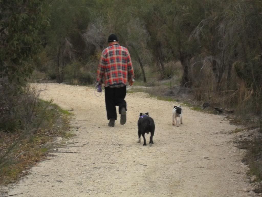 Jethro and Winston's wetlands walk ( lots of photos ... be warned ) 059-1