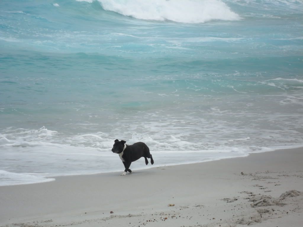 Roxy first visit to the Beach SAM_0360