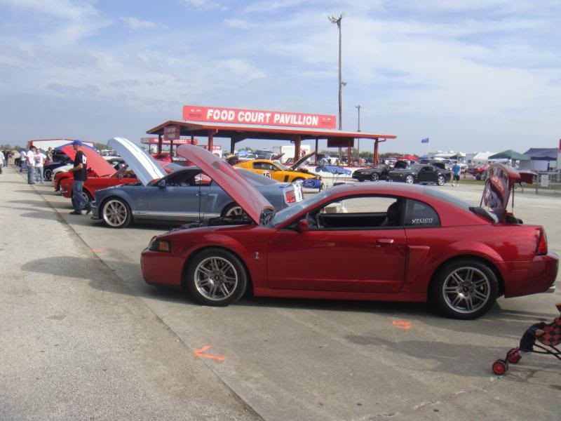 2003 COBRA MUSTANG FOR SALE Blksaleen