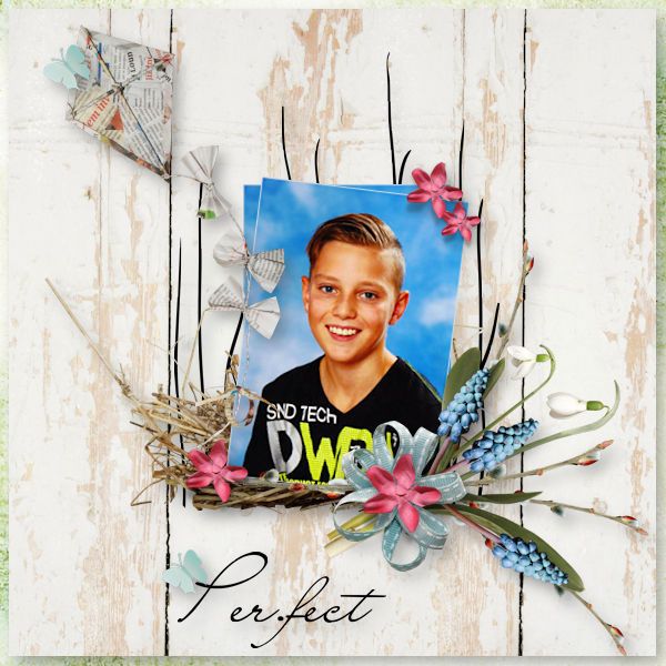 Perfect Spring Scrap-art-dinsdag-weekles-13_zpsa5s0nebx