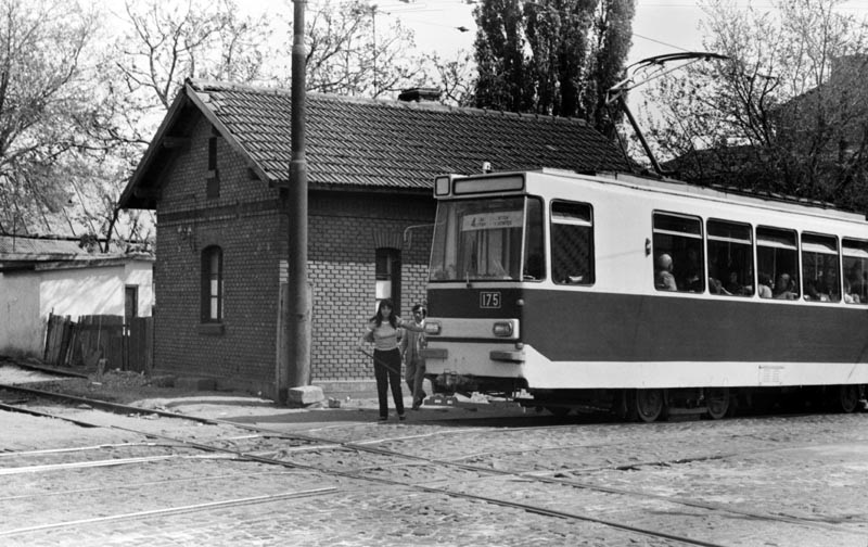 FOSTA LINIE BUCURESTI BANEASA - HERASTRAU- OBOR- 23 AUGUST 1983_herastrau_tei_reinvierii_11_17