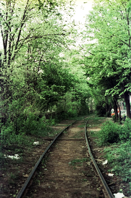 FOSTA LINIE BUCURESTI BANEASA - HERASTRAU- OBOR- 23 AUGUST 1985_herastrau_tei_reinvierii_03_19