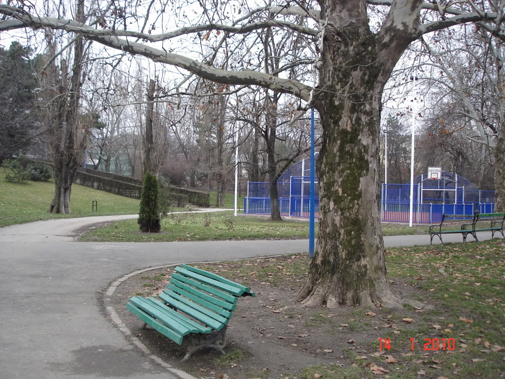 PARCUL CIRCULUI - BUCURESTI DSC08295