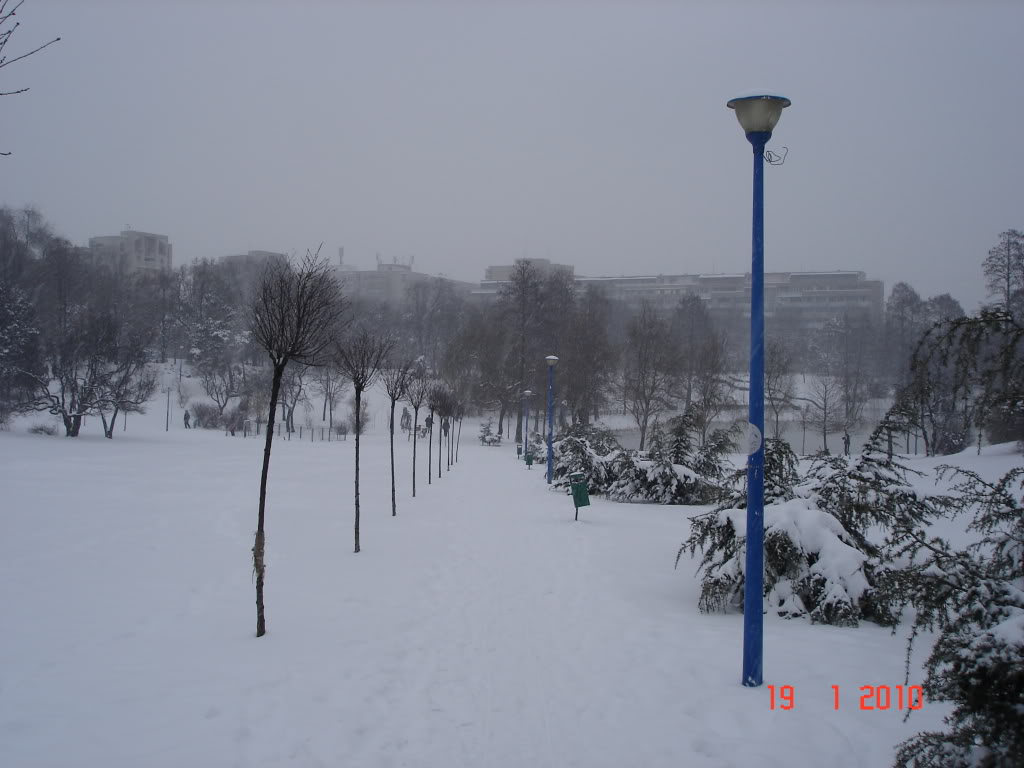 PARCUL CIRCULUI - BUCURESTI DSC08334