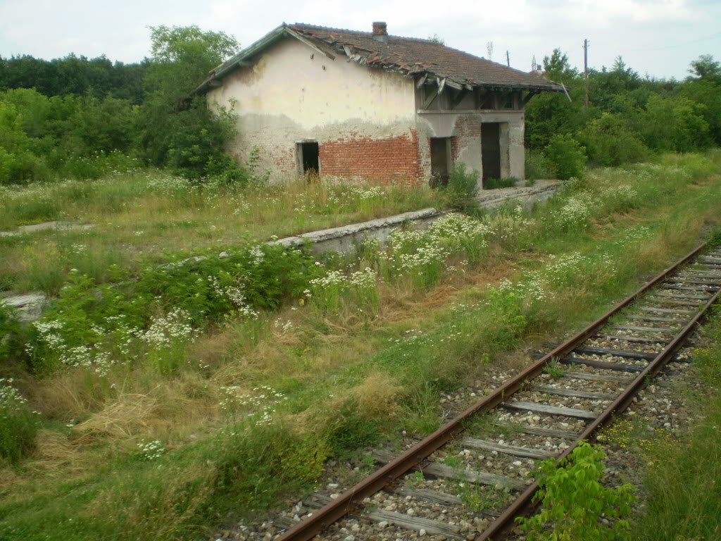 302 : Ploiesti Sud - Targoviste - Pagina 2 P1010083_01