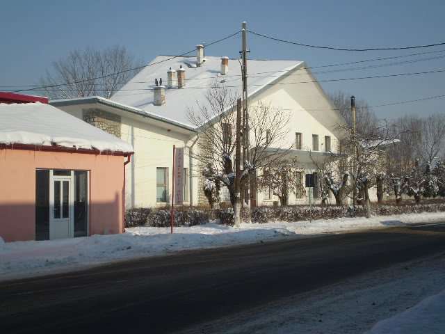 203 : Brasov - Rasnov - Zarnesti P1040020