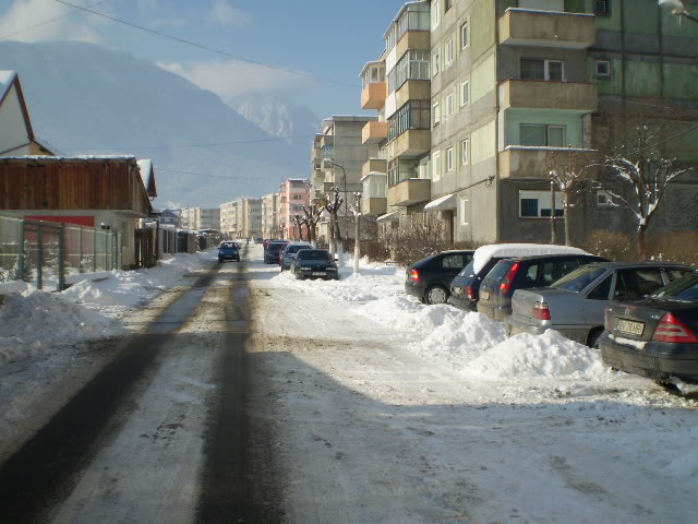 203 : Brasov - Rasnov - Zarnesti P1040021