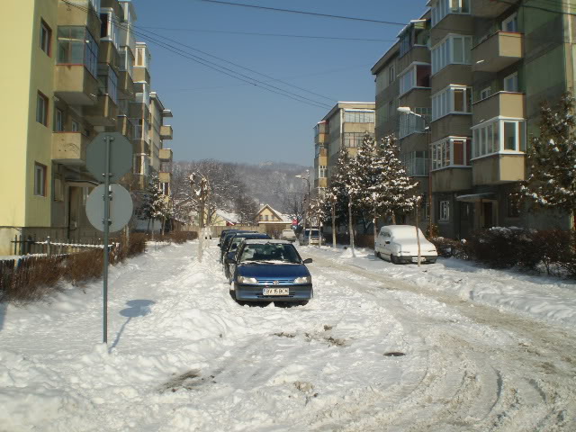 203 : Brasov - Rasnov - Zarnesti P1040022