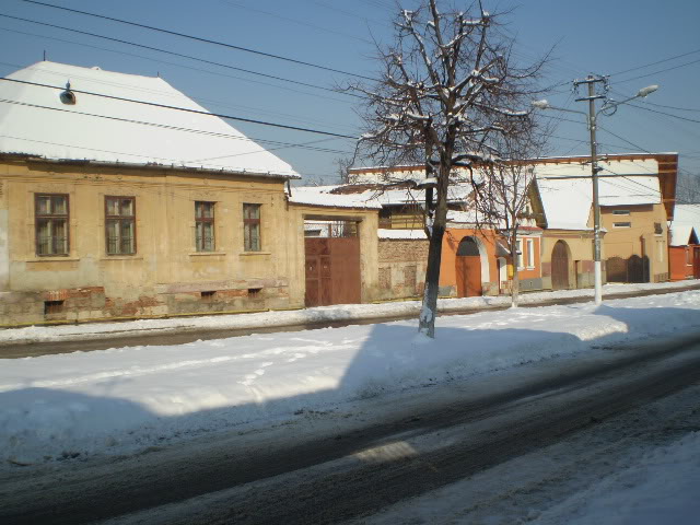 203 : Brasov - Rasnov - Zarnesti P1040024