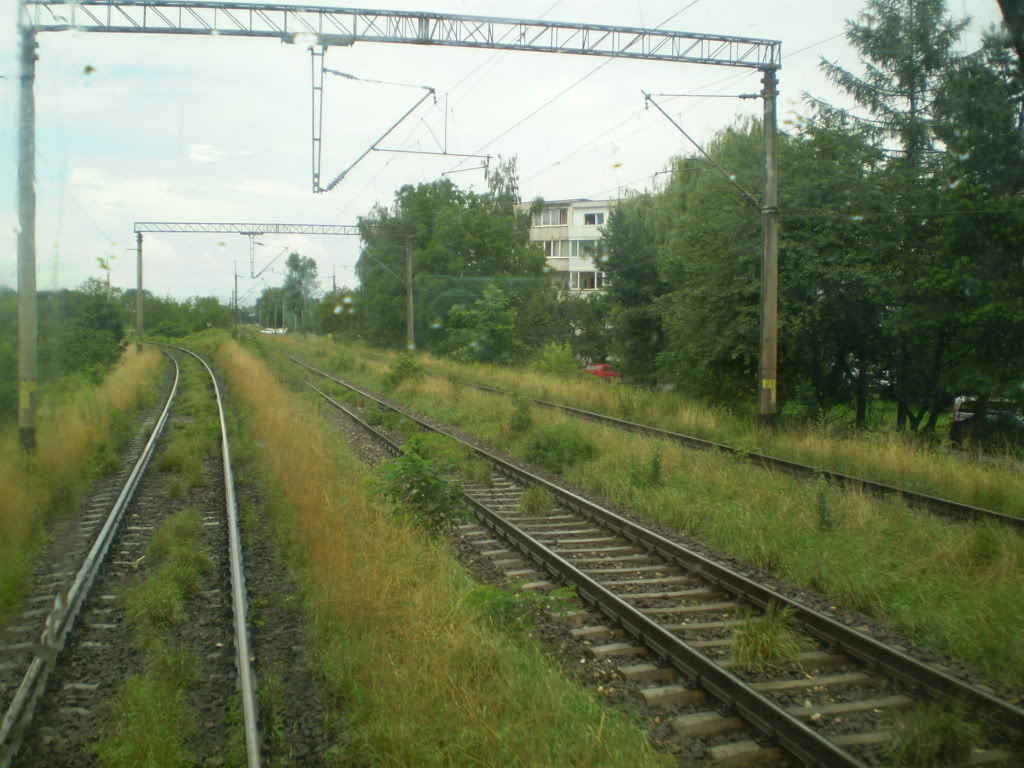 203 : Brasov - Rasnov - Zarnesti P7050084