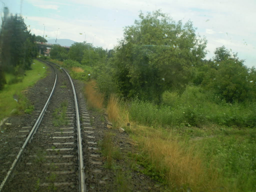 203 : Brasov - Rasnov - Zarnesti P7050085