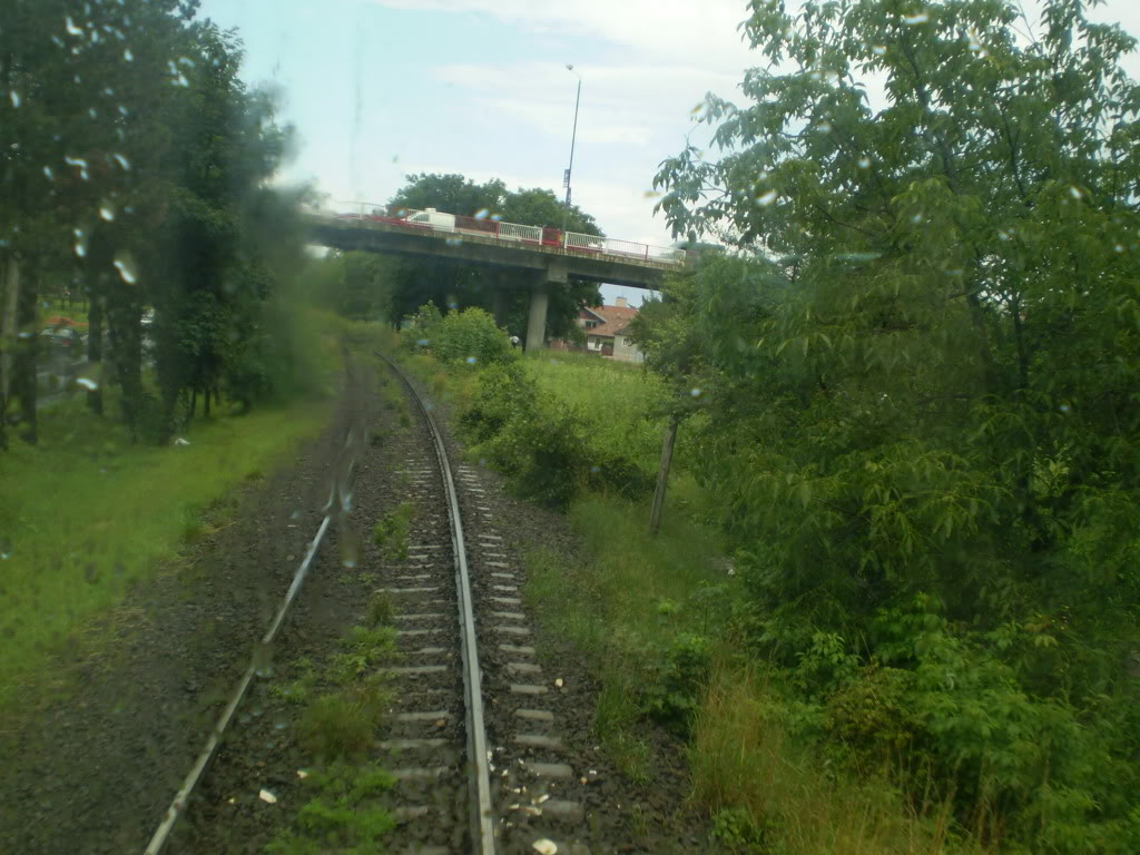 203 : Brasov - Rasnov - Zarnesti P7050086