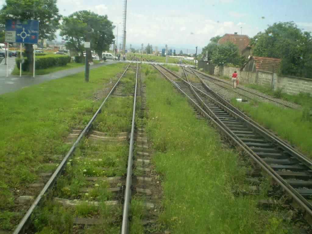 203 : Brasov - Rasnov - Zarnesti P7050089