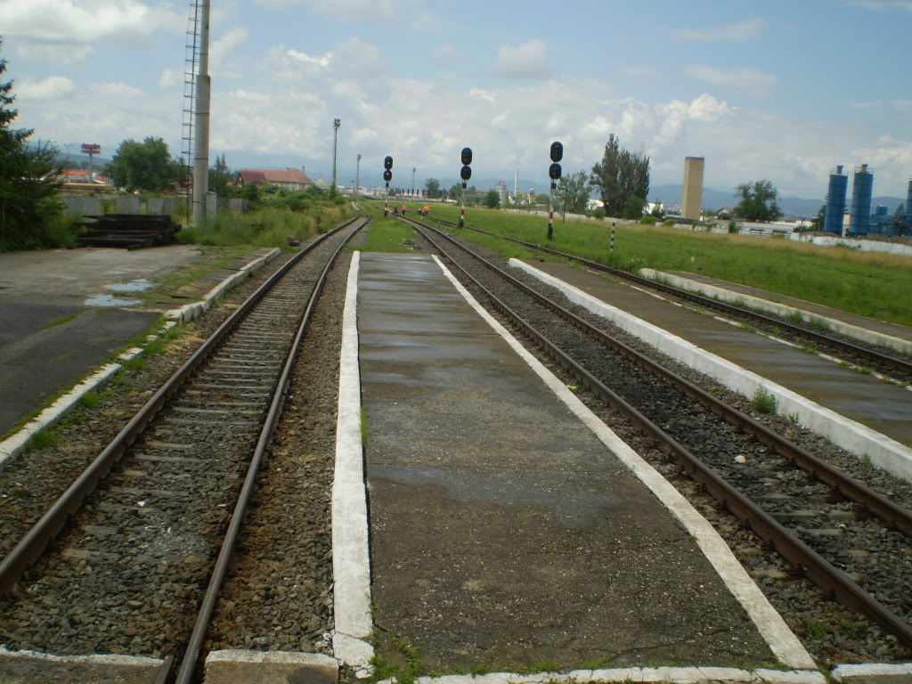 203 : Brasov - Rasnov - Zarnesti P7050092