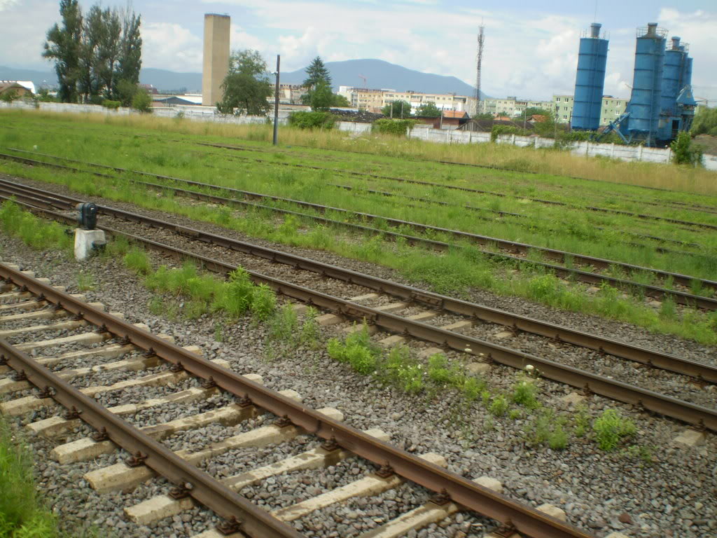 203 : Brasov - Rasnov - Zarnesti P7050093