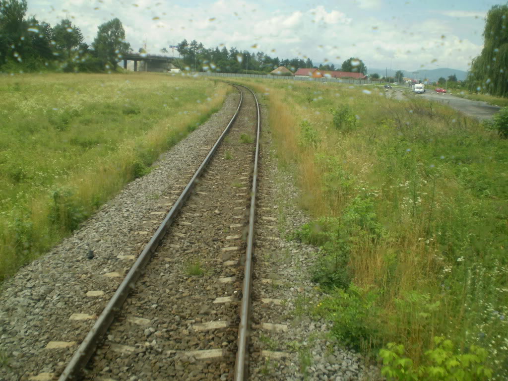 203 : Brasov - Rasnov - Zarnesti P7050096