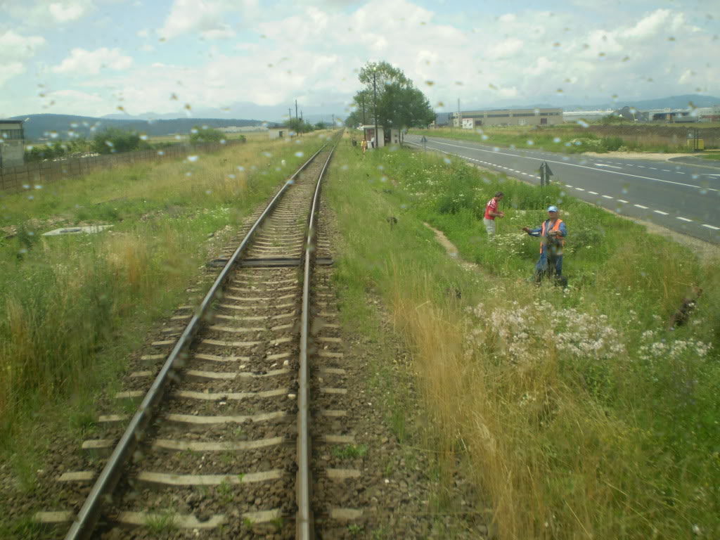 203 : Brasov - Rasnov - Zarnesti P7050100