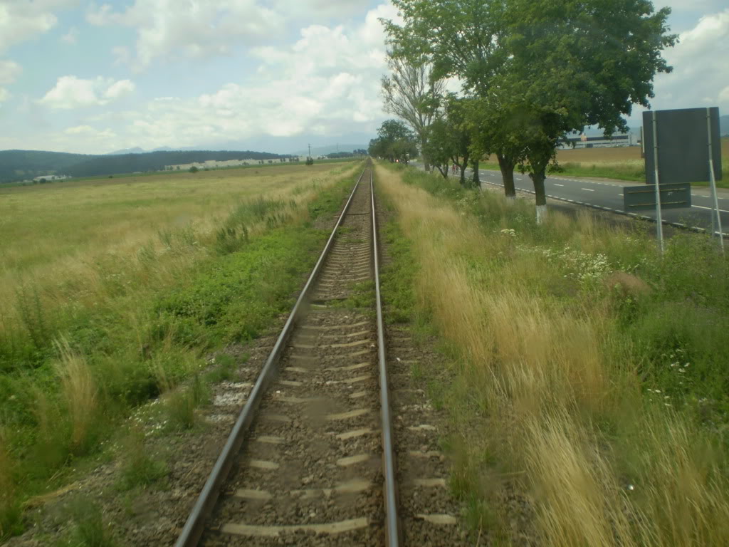 203 : Brasov - Rasnov - Zarnesti P7050104