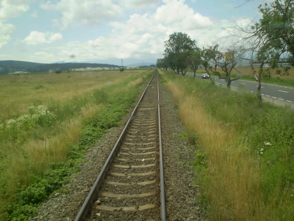 203 : Brasov - Rasnov - Zarnesti P7050105