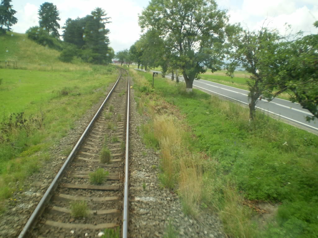 203 : Brasov - Rasnov - Zarnesti P7050111