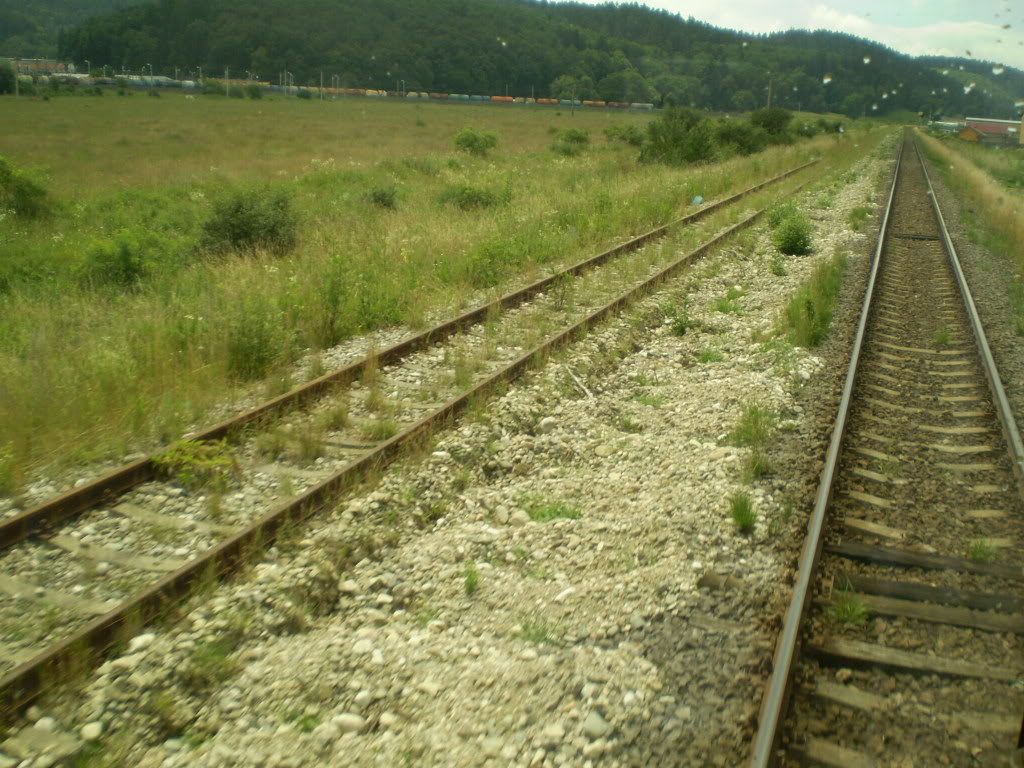 203 : Brasov - Rasnov - Zarnesti P7050118