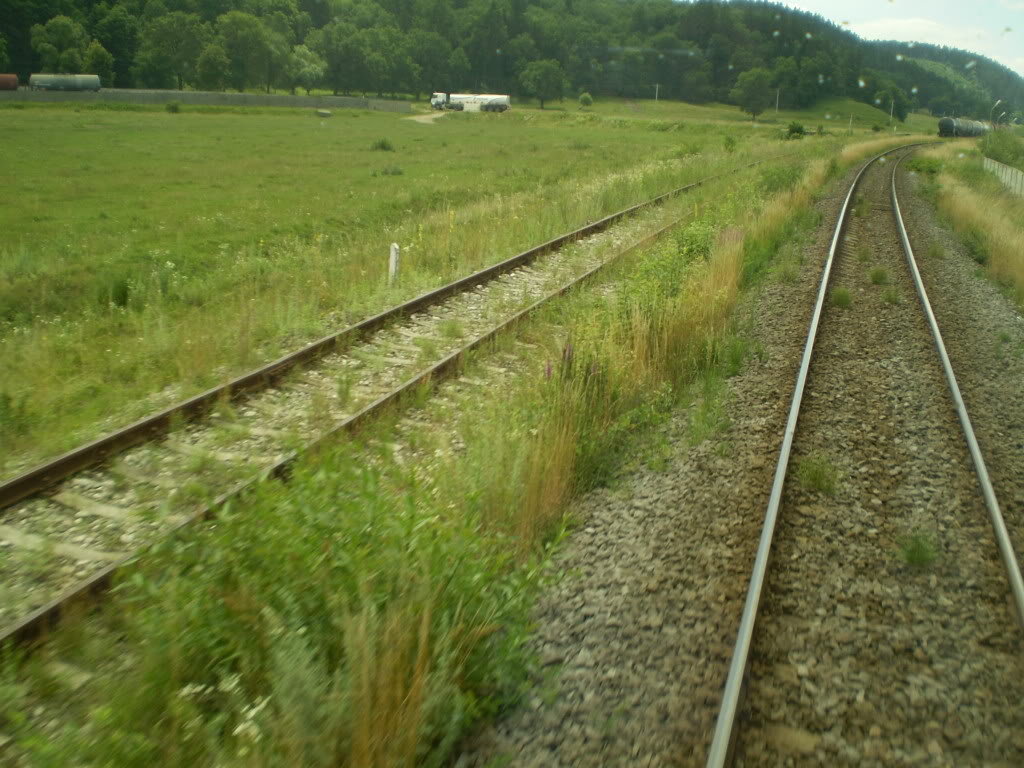 203 : Brasov - Rasnov - Zarnesti P7050119