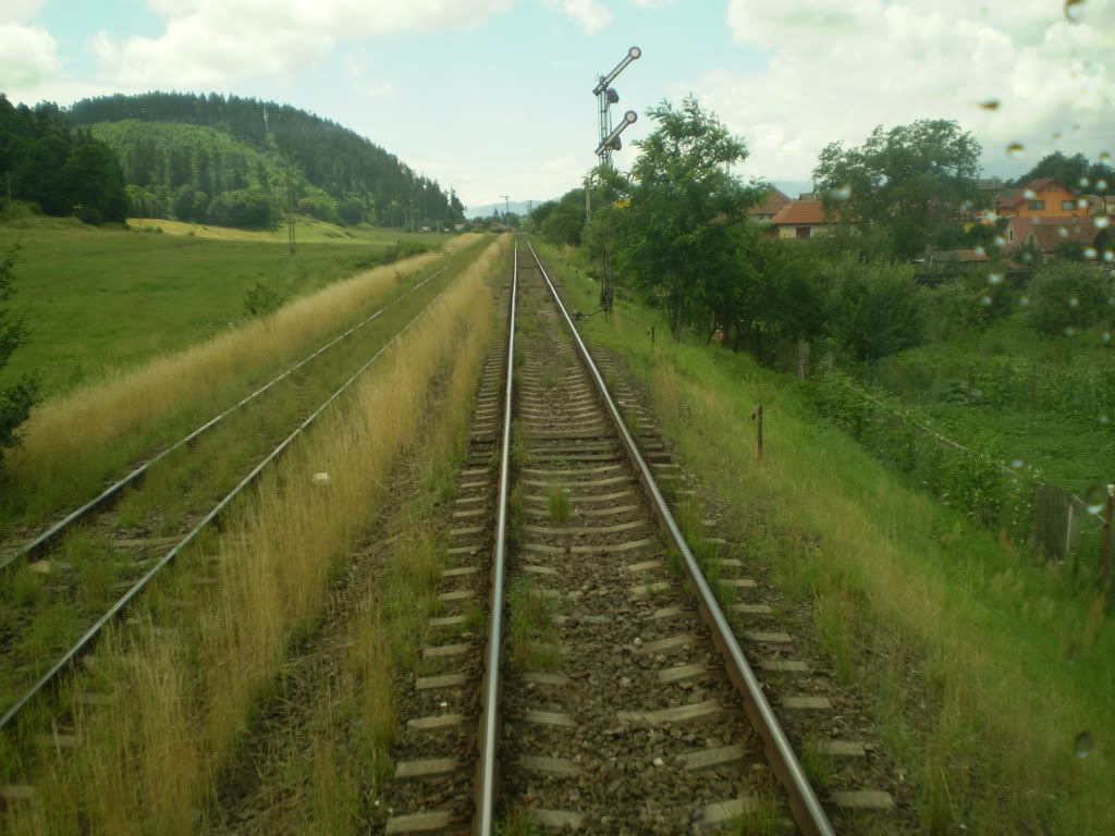 203 : Brasov - Rasnov - Zarnesti P7050122