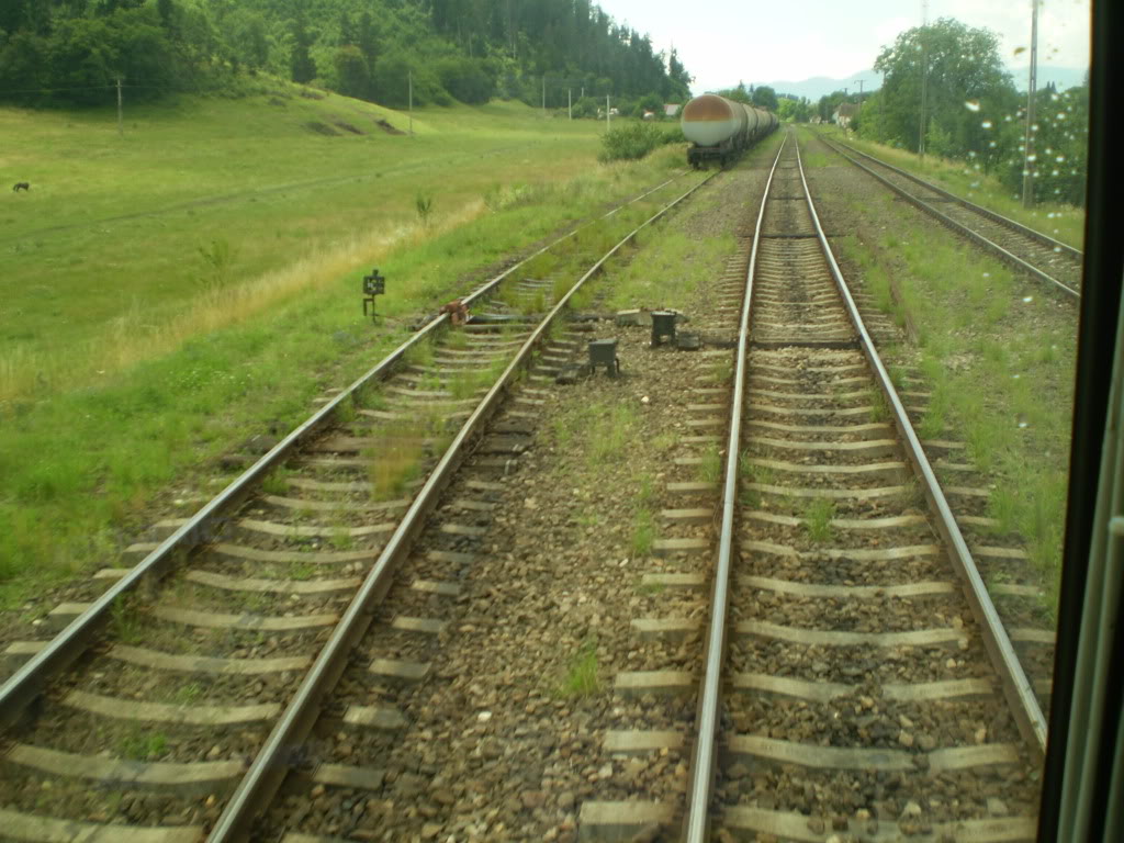 203 : Brasov - Rasnov - Zarnesti P7050124