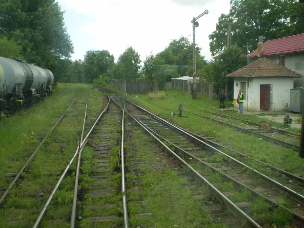 203 : Brasov - Rasnov - Zarnesti P7050138