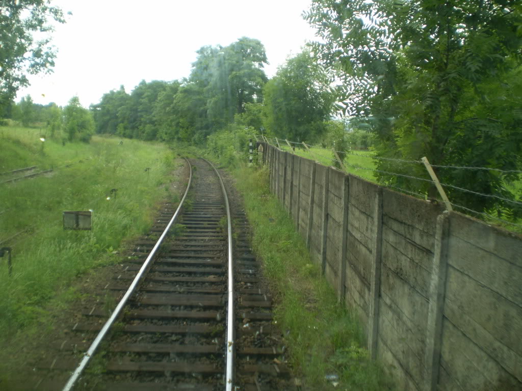 203 : Brasov - Rasnov - Zarnesti P7050139