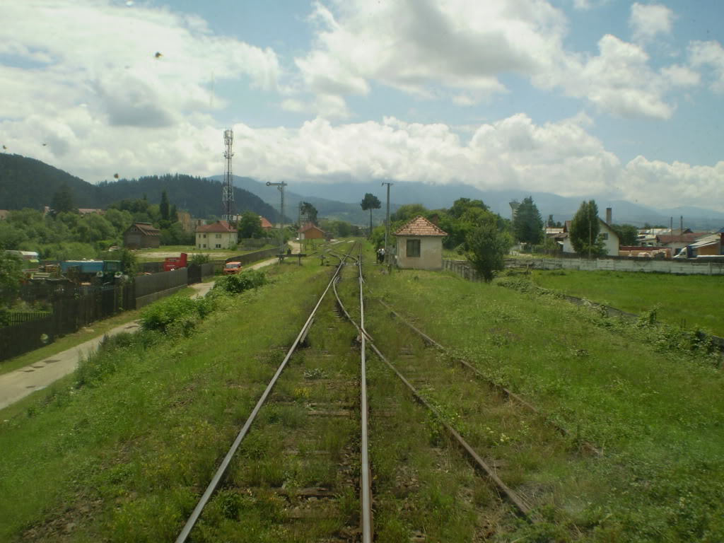 203 : Brasov - Rasnov - Zarnesti P7050152