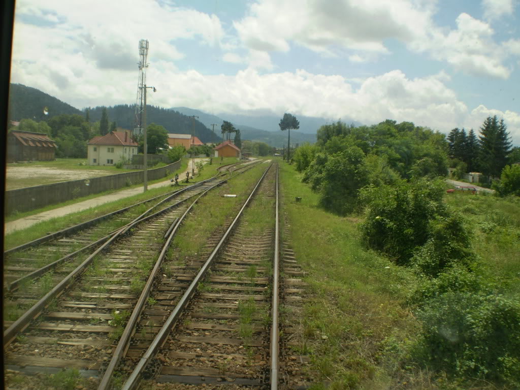 203 : Brasov - Rasnov - Zarnesti P7050153