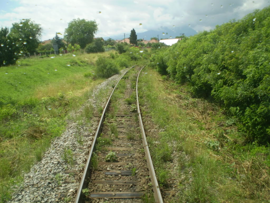 203 : Brasov - Rasnov - Zarnesti P7050158