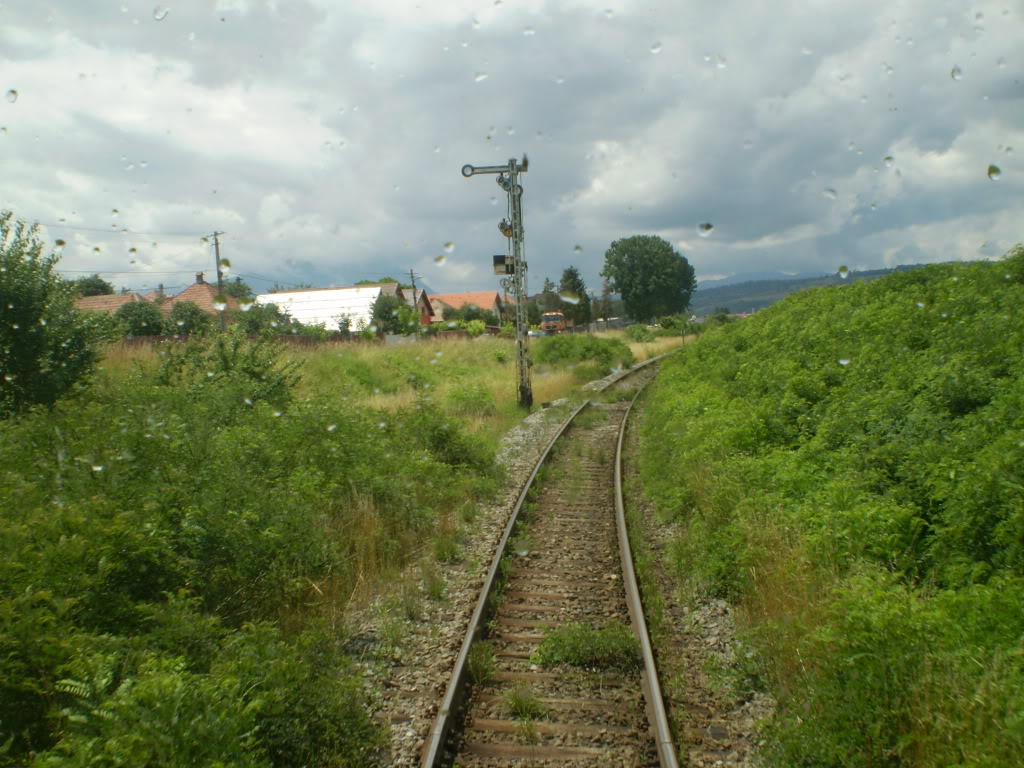 203 : Brasov - Rasnov - Zarnesti - Pagina 2 P7050159