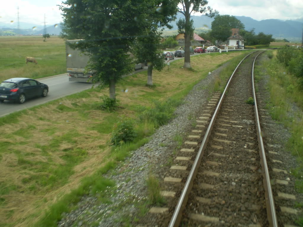 203 : Brasov - Rasnov - Zarnesti - Pagina 2 P7050175