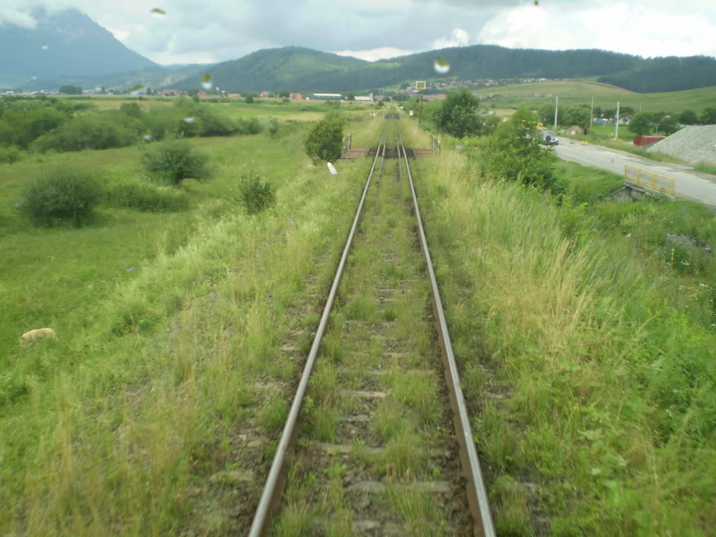 203 : Brasov - Rasnov - Zarnesti - Pagina 2 P7050178