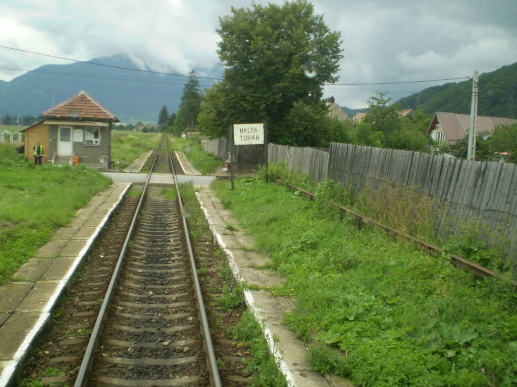 203 : Brasov - Rasnov - Zarnesti - Pagina 2 P7050188