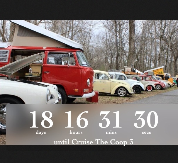 Cruise The Coop 2014 March 21,22,23 - Page 4 Image-31