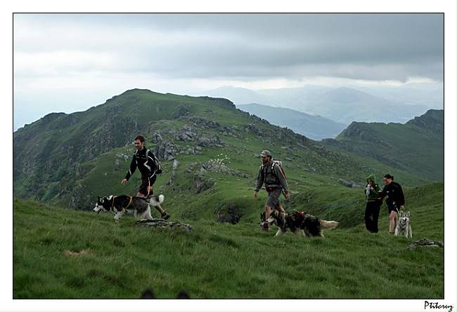 Photos cani-randos en Pays Basque... Canirandomai20110044-border